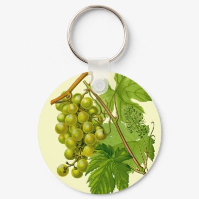 Grapes on the Vine Botanical Drawing Keychain by FalconsEye