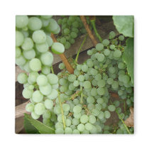 Grapes on the Vine magnets