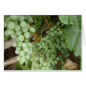 Grapes on the Vine - Napa and Tuscan Decor cards by pier0045 Grapes on the Vine - Napa and Tuscan Decor cards