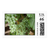 Grapes on the Vine postage