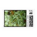 Grapes on the Vine Postage Stamp