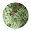 Grapes on the Vine - Wine Country magnets