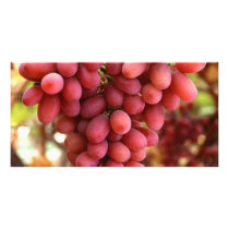 Grapes photo cards by GPArkive Grapes photo cards