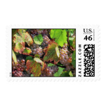 Grapes postage