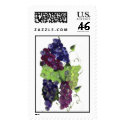 GRAPES postage by anaisacolon GRAPES postage