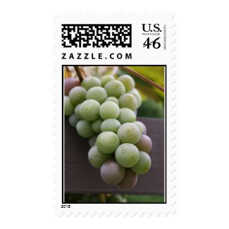 grapes stamp
