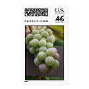 grapes postage by Nitalc grapes postage