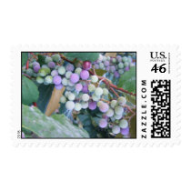 Grapes postage by Butterfly2008 Grapes postage