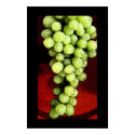 Grapes posters by juleemay25 Grapes posters