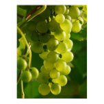 Grapes posters