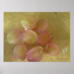 Grapes Print