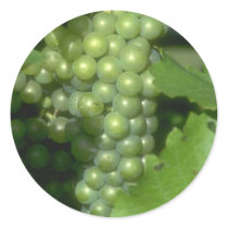 Grapes stickers