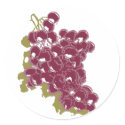Grapes stickers by evisionarts Grapes stickers