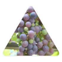 Grapes Stickers