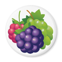 GRAPES VARIETY magnets