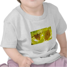 Grapes Vine Fine Art Shirt