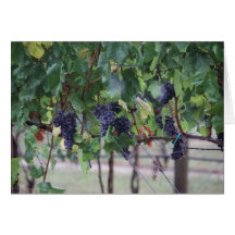 Grapes will be Wine Greeting Cards