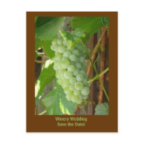 grapes, Winery Wedding Save the Date! postcards