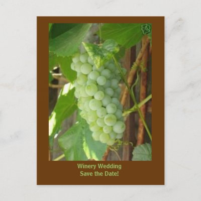 Custom wine themed wedding save the date postcard for your special event