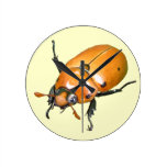 Grapevine Beetle ~ clock