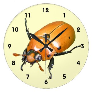 Grapevine Beetle ~ clock