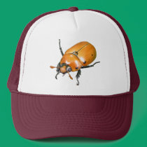Grapevine Beetle ~ hat hats