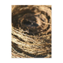 Grapevine Postcard by bohtieque Grapevine Postcard