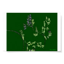 Grapevine posters by KrisArts Grapevine posters