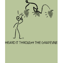 GRAPEVINE t-shirts by PANADUCE GRAPEVINE t-shirts