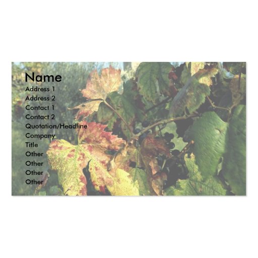 Grapevine, Tuscany, Italy Business Card