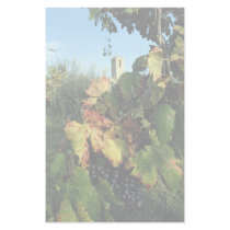 Grapevine, Tuscany, Italy Custom Stationery