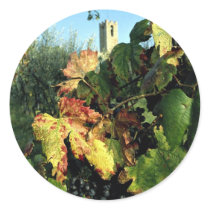 Grapevine, Tuscany, Italy Stickers