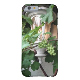 Grapevines And Lantern iPhone 6 Case