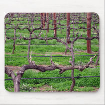 Grapevines at Winery Mousemats