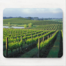 Grapevines in neat rows in California's Napa Mouse Pads