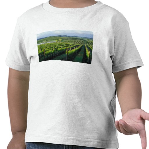 Grapevines in neat rows in California's Napa Tshirts