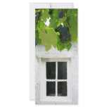 Grapevines Custom Rack Card