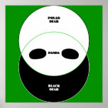 Graphic Bears Poster posters