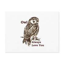 Graphic Owl Love Postcards