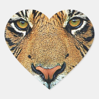 Graphic Tiger Design