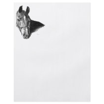 Graphite Horse Head Flyer