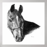 Graphite Horse Head Poster