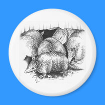 Graphite_LA magnets