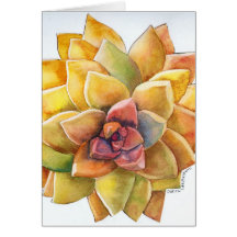 Graptopetalum watercolor card