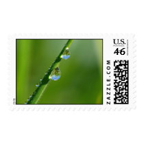 Grashalm postage by gabii40 Grashalm postage