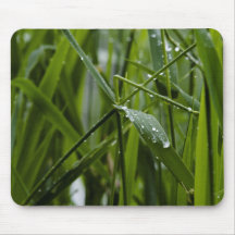 grass-after-rain-2012-05-27 mousepad