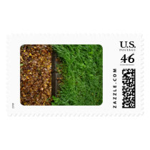 Grass and Leaves postage