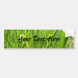 Grass Bumper Stickers