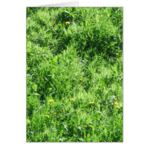 Grass cards