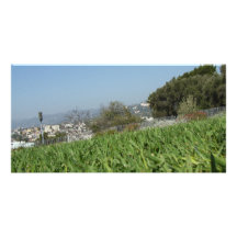 Grass Customized Photo Card